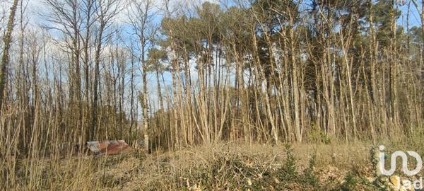 Maison rustique 3 pièces de 72 m² à Lavernat (72500)