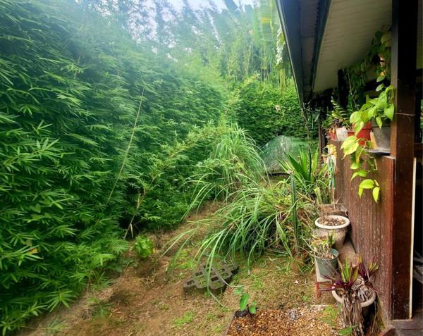 Propriété exclusive avec deux maisons indépendantes, un T2 et un T3