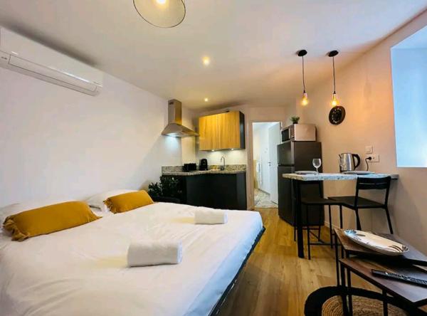 Appartement Saint Avertin 1 pièce(s) 18 m2