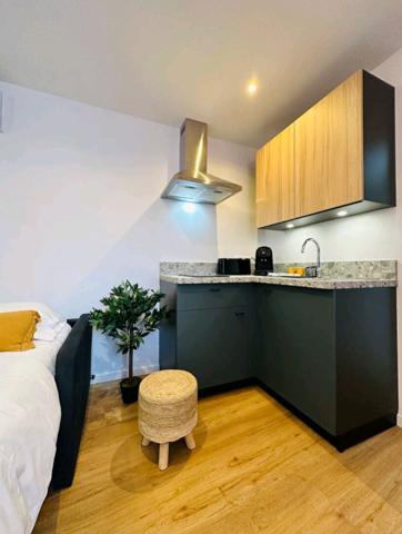Appartement Saint Avertin 1 pièce(s) 18 m2