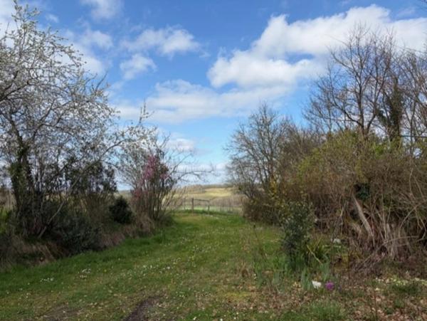 PLAISANCE (32): Ancienne FERME GASCONNE de 300m2, adaptée activité chambres d hotes, 7chambres, dépendances, 5000m2