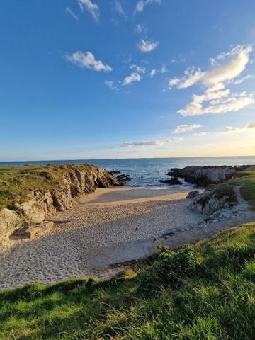 A 2 pas de la côte sauvage.