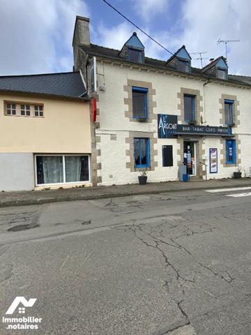 Local mixte (Professionnel/Habitation)