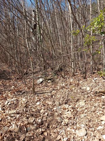 Maison de Hameau SAINT MARTIN DE BOUBAUX (48)