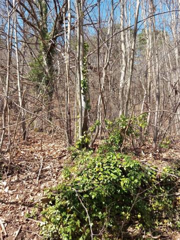 Maison de Hameau SAINT MARTIN DE BOUBAUX (48)