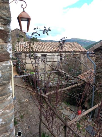 Maison de Hameau SAINT MARTIN DE BOUBAUX (48)