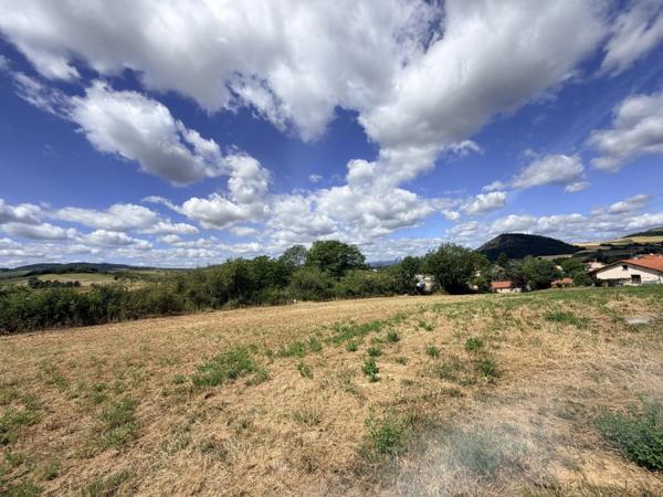 Vente / Terrain