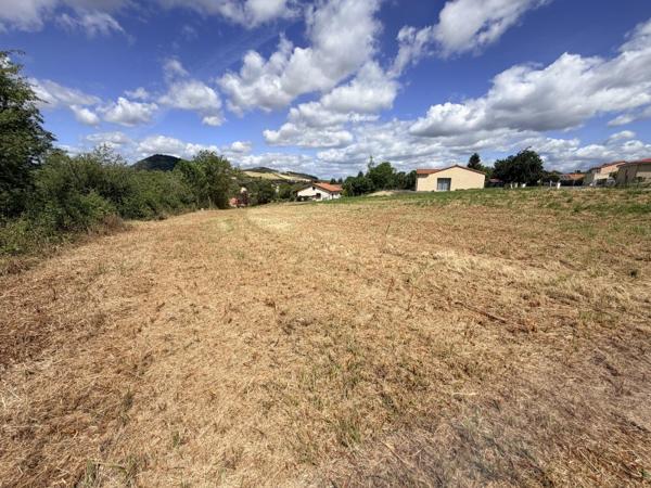 Vente / Terrain