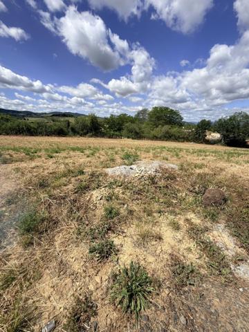 Vente / Terrain
