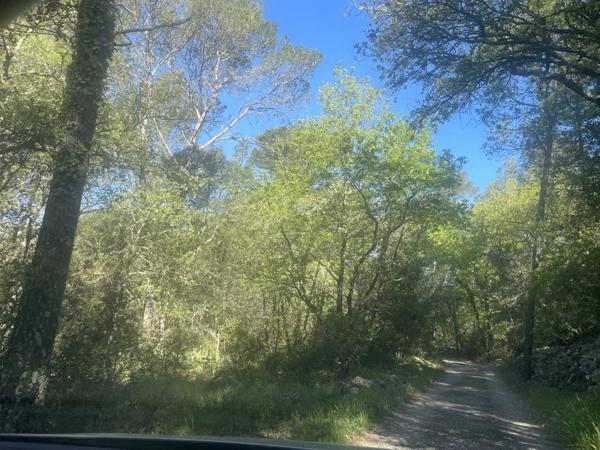 Immobilier Lorgues (83510) – Terrain constructible 3838m2 – 260 000 €