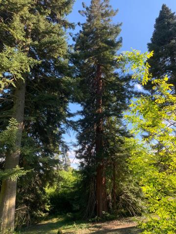 Magnifique terrain constructible à Corenc – Emplacement d’exception