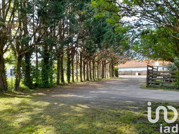 Immeuble à vendre 250 m² Sabres