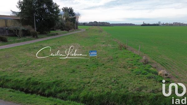 Terrain à vendre 2 520 m² Bazoches-sur-le-Betz