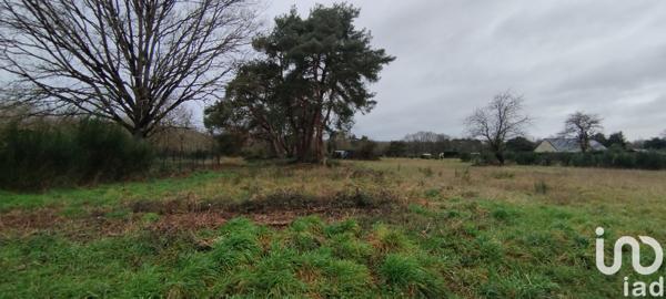 Terrain à vendre 2 496 m² Villefranche-sur-Cher