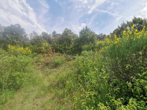 Ginasservis (83560) Terrain à batir 3500M2