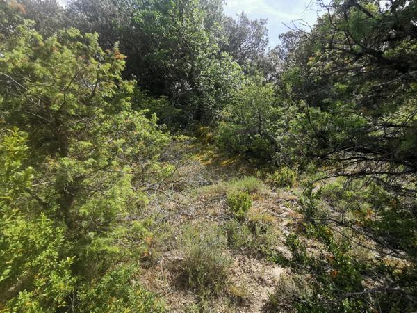 Ginasservis (83560) Terrain à batir 3500M2