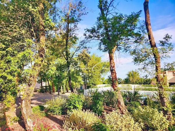 Vente / Appartement T2