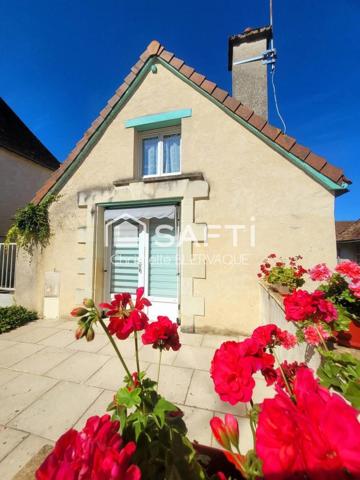 Bel ensemble immobilier de caractère au cœur de Pleumartin