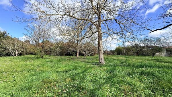 À vendre Terrain à bâtir de 1000 m2 à Villaudric - 31620