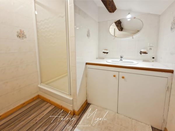 Propriété en pierre avec maison, gîte, 245m², 7 chambres, piscine, 300m² de dépendances, parc de 2,5 hectares