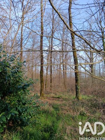 Terrain à vendre 24 045 m² Sainte-Gemme