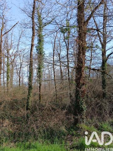 Terrain à vendre 24 045 m² Sainte-Gemme