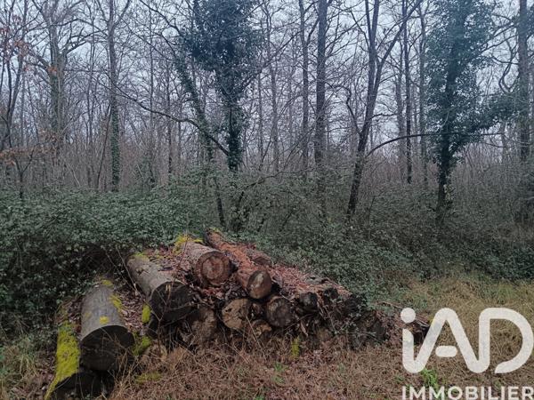 Terrain à vendre 24 045 m² Sainte-Gemme