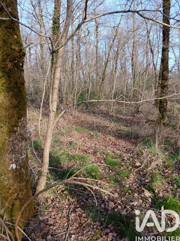 Terrain à vendre 24 045 m² Sainte-Gemme