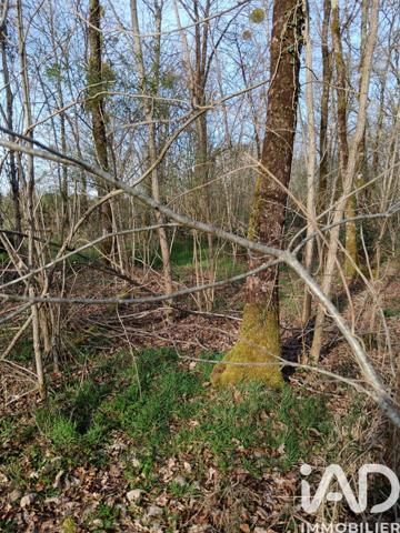 Terrain à vendre 24 045 m² Sainte-Gemme