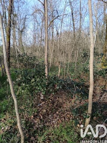 Terrain à vendre 24 045 m² Sainte-Gemme