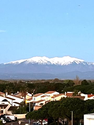 Saint-Cyprien (66750) 66750 SAINT CYPRIEN PLAGE A vendre appartement proche et vue mer