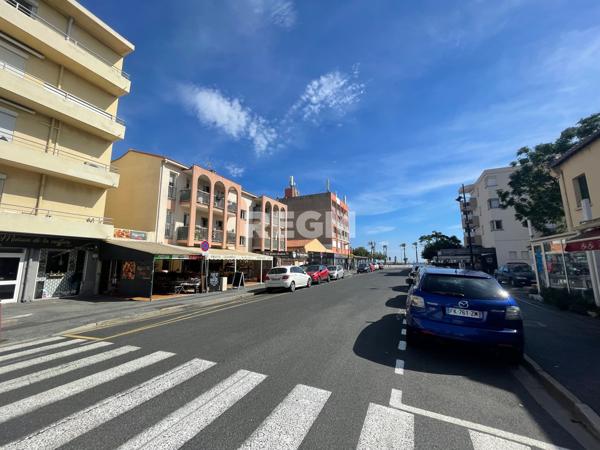 Saint-Cyprien (66750) 66750 SAINT CYPRIEN PLAGE A vendre appartement proche et vue mer