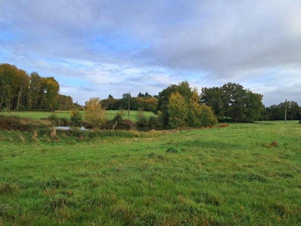 Maison à MAYET, 72360 - 4 pièces 124m²