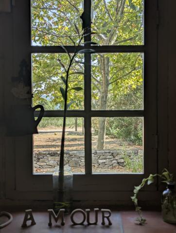 Superbe mas provençal sur 9000m² de terrain