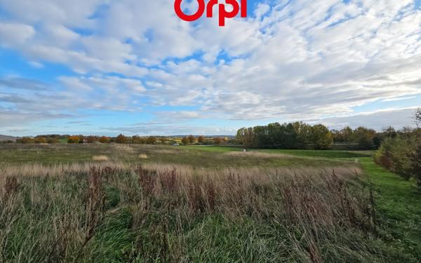 Terrain à vendre    Bellême