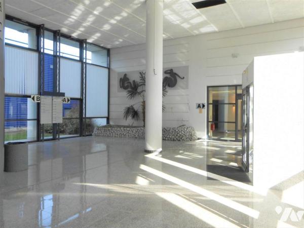 Immeuble - Locaux d’entreprise (bureaux)