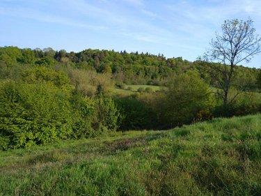 Terrain à Batir à vendre à La Trinité-de-Réville dans l'Eure (27270), ref : 14058-1522