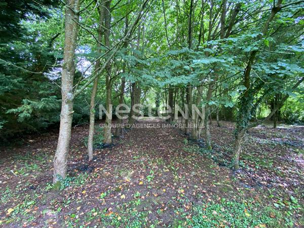 À VENDRE LONGÈRE EN PIERRE  5 CHAMBRES À COMBOURG