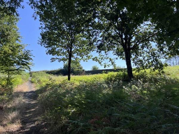 Terrain 69 000 € Rion-des-Landes 2067 m² DPE