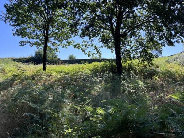 Terrain 69 000 € Rion-des-Landes 2067 m² DPE