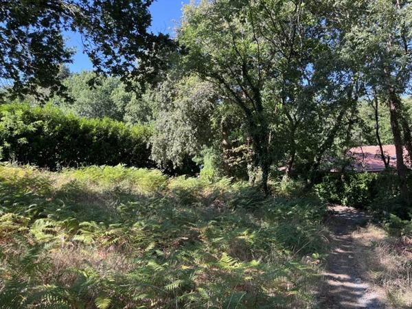 Terrain 69 000 € Rion-des-Landes 2067 m² DPE