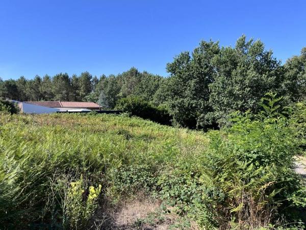Terrain 69 000 € Rion-des-Landes 2067 m² DPE