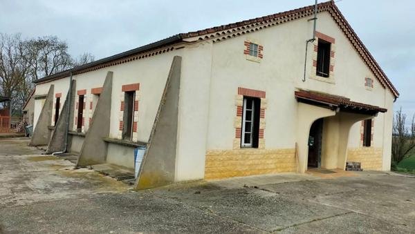 Propriété agricole Mauvezin(32120) engraissement veaux