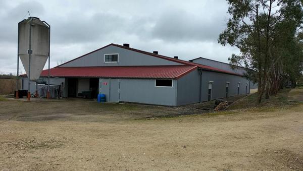 Propriété agricole Mauvezin(32120) engraissement veaux