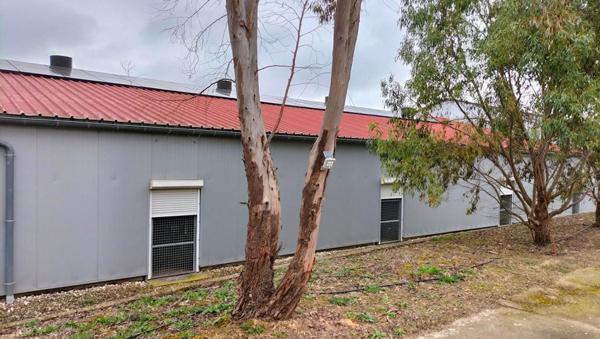 Propriété agricole Mauvezin(32120) engraissement veaux