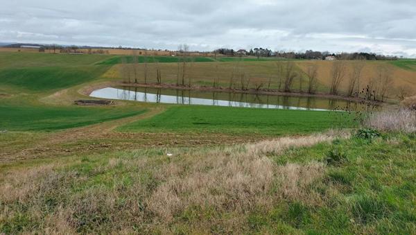 Propriété agricole Mauvezin(32120) engraissement veaux