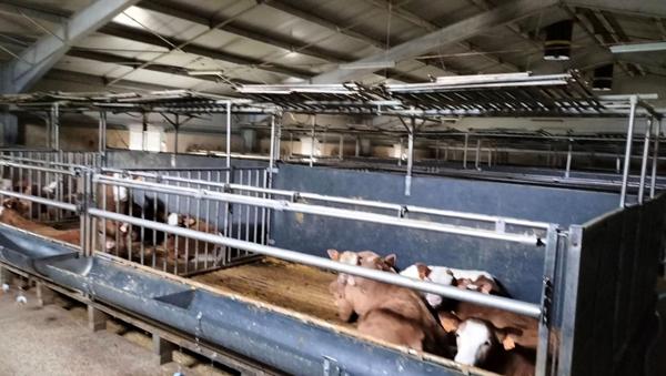 Propriété agricole Mauvezin(32120) engraissement veaux