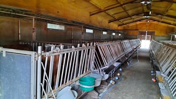 Propriété agricole Mauvezin(32120) engraissement veaux