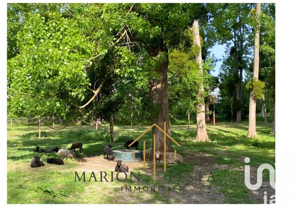 Appartement à vendre 5 pièces 98 m² Neuilly-sur-Marne