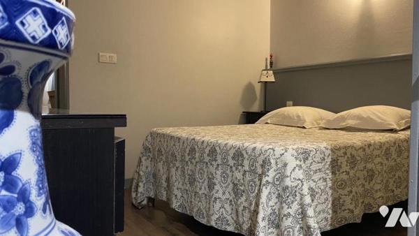 Immeuble entier composé de 5 appartements + 1 local professionnel + local technique + greniers dans 